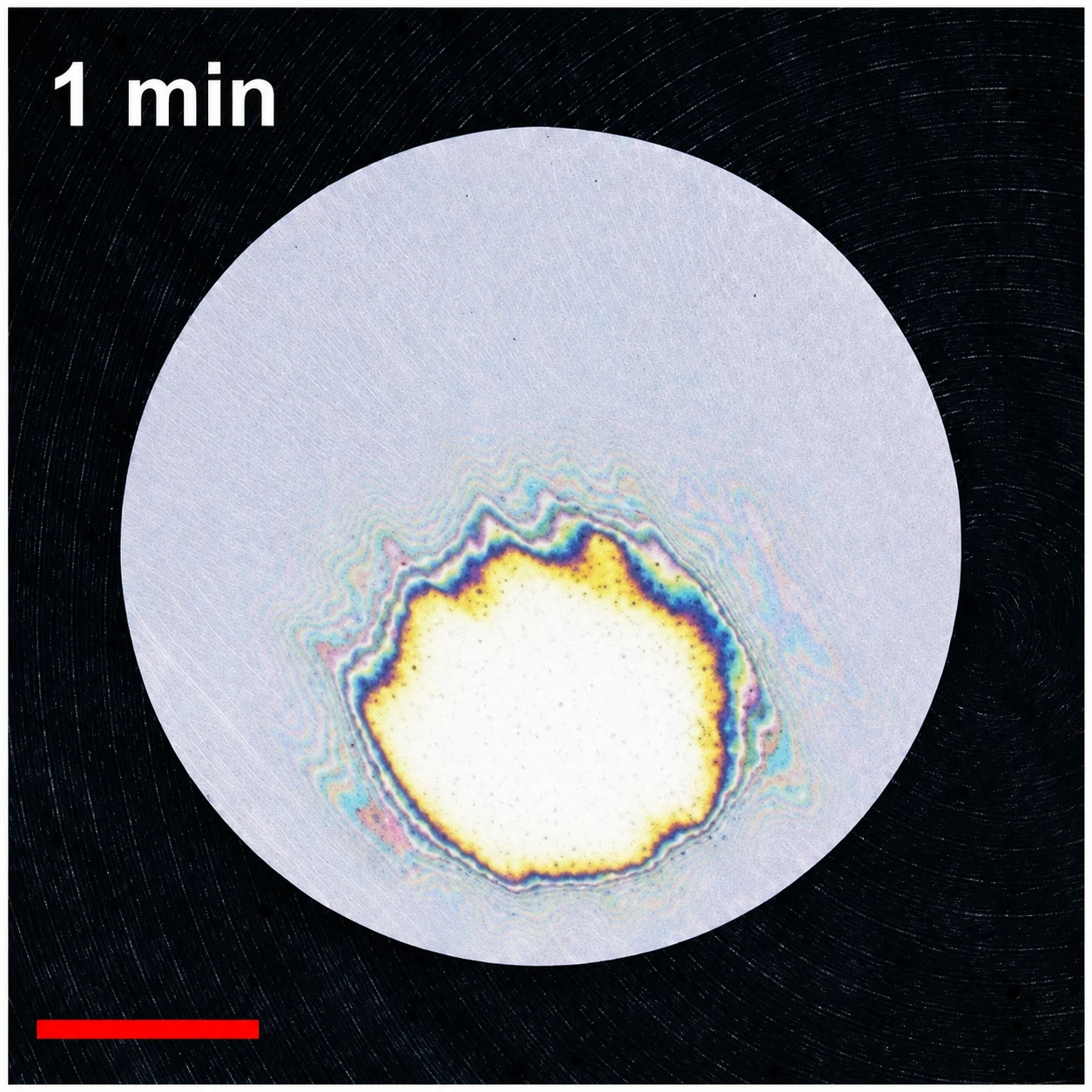 Transient-electronics sample after triggered degradation