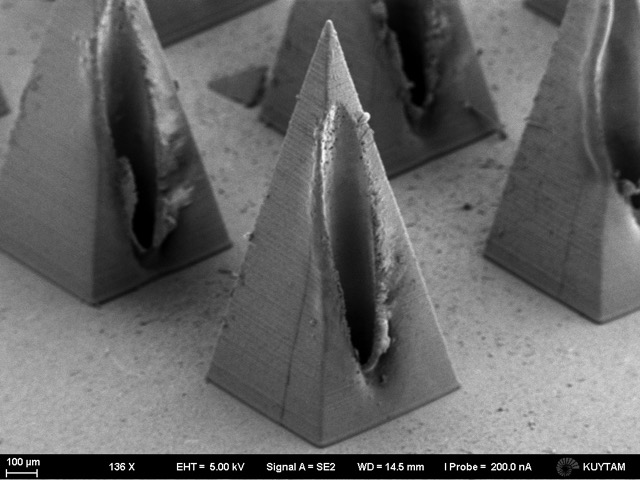 Scanning-electron micrograph of hollow microneedles