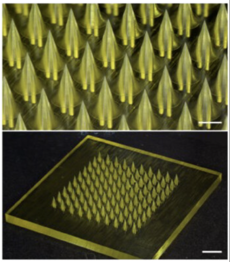 Close-up and full-array views of the hydrophilic hollow microneedle platform