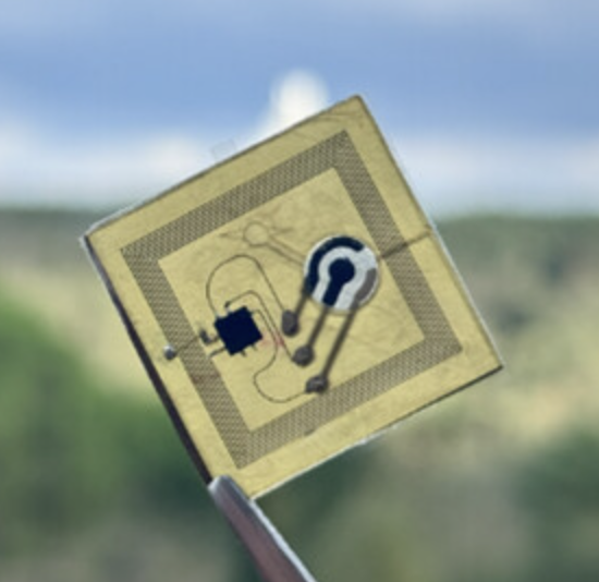 Wearable non-enzymatic glucose sensor platform held by tweezers